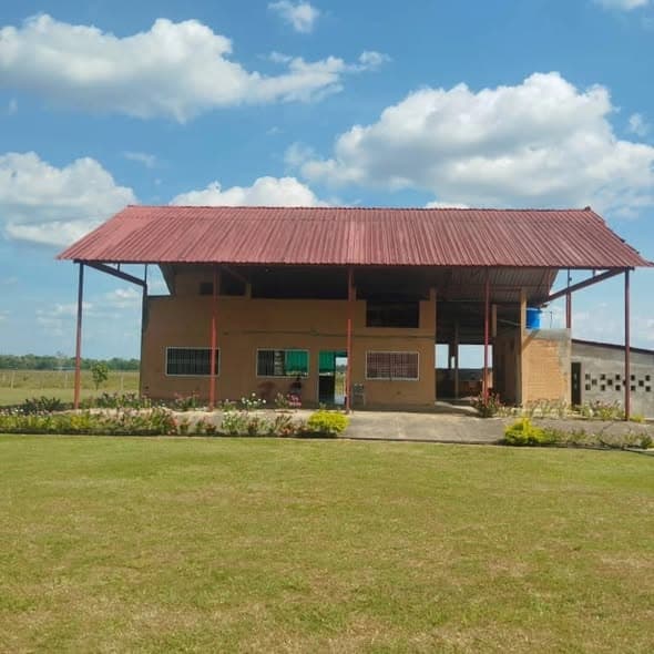 Finca productiva de 79.4 hectáreas cerca de Barinas - Imagen 1