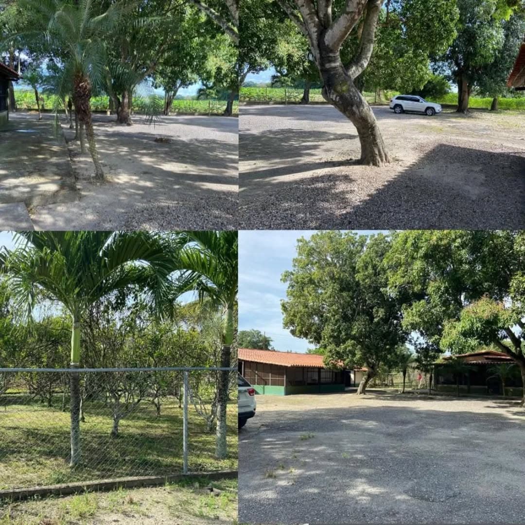 Granja en Venta, Sector Peñita, Barinas - Imagen 1